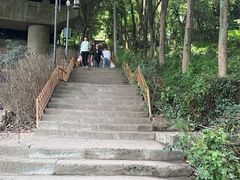 -黄葛古道