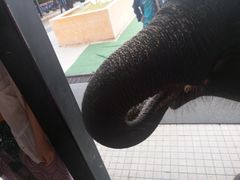 -东芭乐园