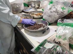 -上海广德中医门诊部