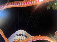 -马六甲鸡场街