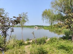 -江苏三台山国家森林公园