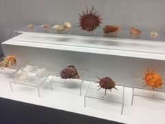 -贝壳王国博物馆
