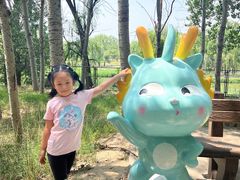 -北京麋鹿生态实验中心