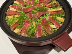 -西郊5号·Maggie 5