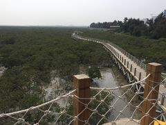 -北海金海湾红树林生态旅游区