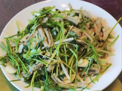 凉拌肚丝-来顺成饭庄