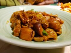 -小吊梨汤·北京菜·烤鸭(鸟巢店)