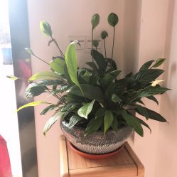 -云上瑜伽·普拉提·维密馆