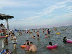 -碧海金沙