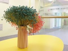 -舞研舞蹈培训(魏公村校区)