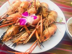 -卷心菜和避孕套餐厅(Pattaya)