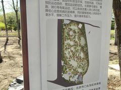 -滨河世纪广场公园
