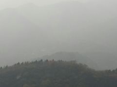 android_upload_pic-大梁骨头馆·酱骨老菜(友好店)
