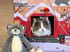 -烤匠麻辣烤鱼(IFS店)