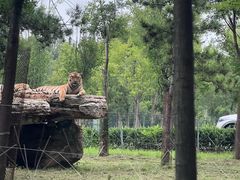 -秦皇岛野生动物园