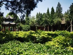 -洛阳白马寺
