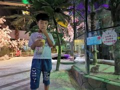 -邯郸海洋世界