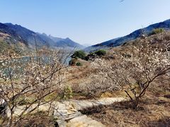 -广州市流溪河国家森林公园