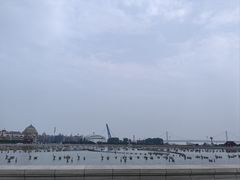 -星海广场