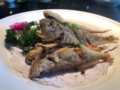 -嘉禾·悦享餐厅(八方汇店)