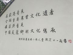 -丝绸小镇荻港古村