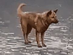 -中百仓储(常青路店)