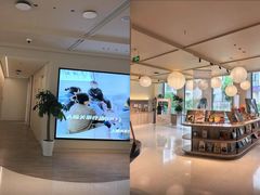 -观心实验室·心理咨询(上海旗舰店)