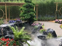 -深圳仙湖植物园