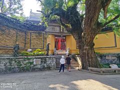 -无锡惠山寺