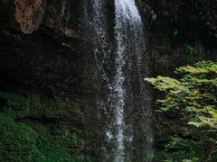 -龙苍沟森林公园