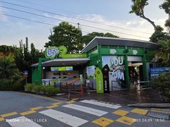-圣淘沙天际线斜坡滑车