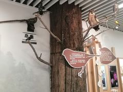 -浙江自然博物院(杭州馆)