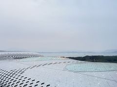 -深圳湾木棉花酒店