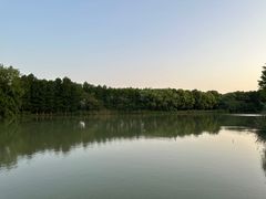 -苏州太湖国家湿地公园