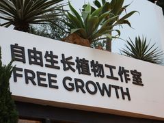 -自由生长植物工作室(深港花卉中心店)