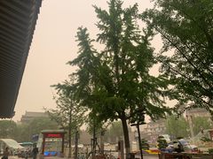 -魏家凉皮(博水商务大厦店)