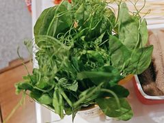 -旺蜀主成都串串火锅(西直门凯德MALL店)