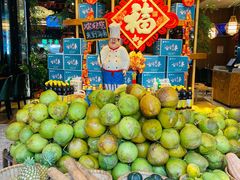 -龙泉人椰子鸡(龙昆南总店)