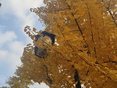 -成都中医药大学(温江校区)