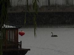 -水绘园