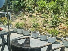-天怡·鱼工厂(梅溪湖店)