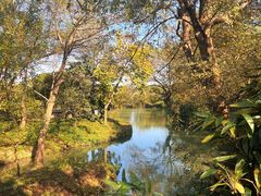 -西溪国家湿地公园