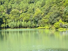 -广州白江湖森林公园