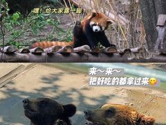 -西霞口神雕山野生动物世界