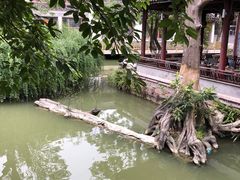 -龙潭水乡