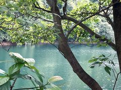 -鼎湖山风景区
