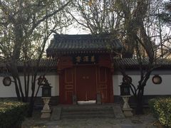 -钓鱼台国宾馆
