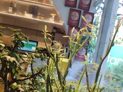 -春树下·树屋花房西餐厅(罍街AS1980店)