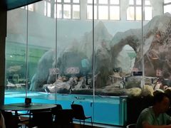 -帝企鹅自助餐厅•儿童岛•真企鹅(长隆企鹅酒店)