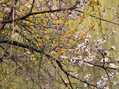 -沕沕水生态风景区